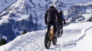 neige Fat Bike