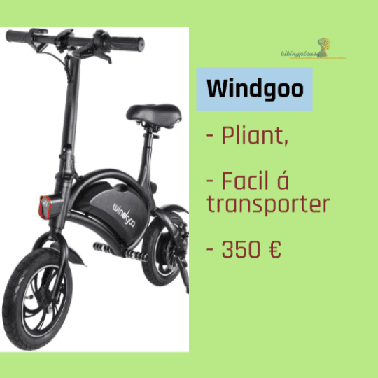 Windgoo Vélo Électrique Pliant