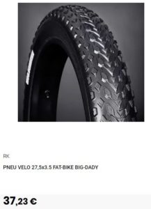 pneu fat bike go sport